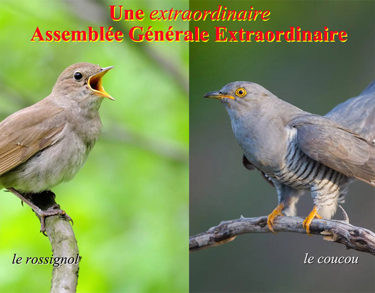 le coucou et le rossignol