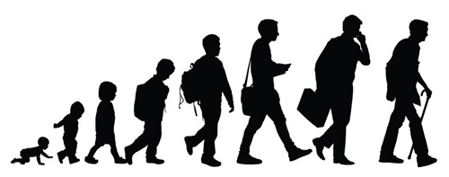 Evolution masculine