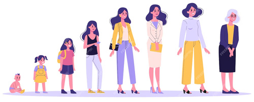 Evolution féminine