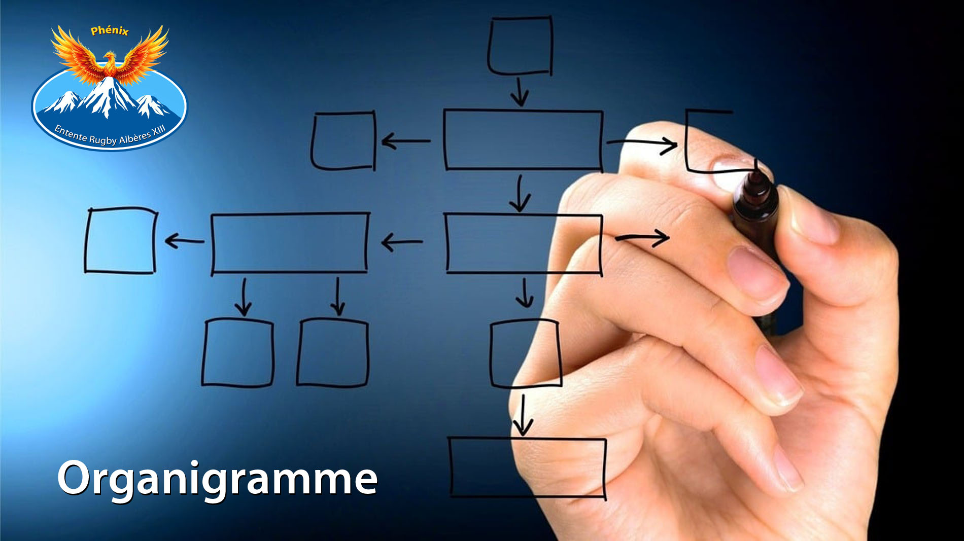 Organigramme 2025-2026